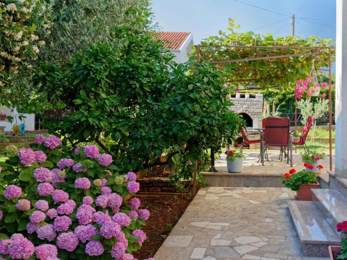 Apartments Marta By Rent Istria Novigrad Istria 外观 照片